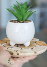 Load image into Gallery viewer, Handmade Juniper Wood Tray - Natural & Decorative Presentation coasters for Coffee, Candles, and More - Rustic and Elegant Design Options - 18cm Diameter