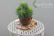 Load image into Gallery viewer, Handmade Juniper Wood Tray - Natural & Decorative Presentation coasters for Coffee, Candles, and More - Rustic and Elegant Design Options - 18cm Diameter